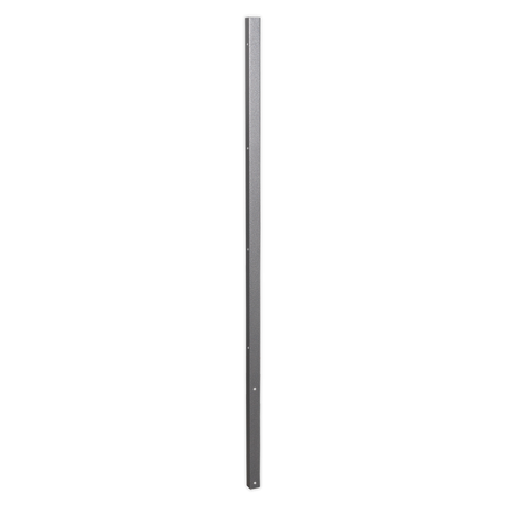 Sealey Superline Pro Metal pole on a white background