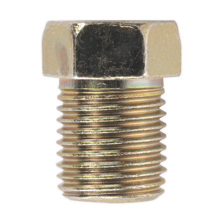 Sealey BN10100FT Brake Pipe Nut M10 x 1mm Full Thread Male Pack of 25 - BN10100FT - Sealey Tools UK - Workshop Tool Storage