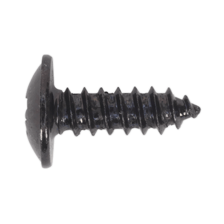 Sealey BST4213 Self Tapping Screw 4.2 x 13mm Flanged Head Black Pozi Pack of 100 - BST4213 - Sealey Tools UK - Workshop Tool Storage