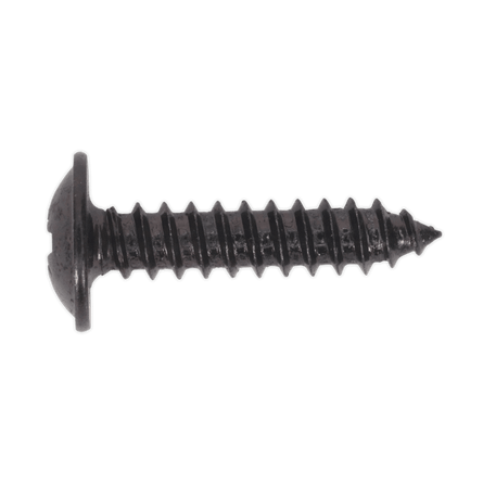 Sealey BST4219 Self Tapping Screw 4.2 x 19mm Flanged Head Black Pozi Pack of 100 - BST4219 - Sealey Tools UK - Workshop Tool Storage