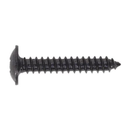 Sealey BST4225 Self Tapping Screw 4.2 x 25mm Flanged Head Black Pozi Pack of 100 - BST4225 - Sealey Tools UK - Workshop Tool Storage