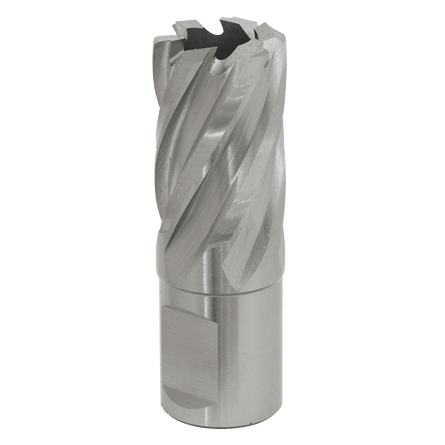Sealey RBHSS20S Rotabor Cutter HSS 20mm - Cut Depth 25mm - RBHSS20S - Sealey Tools UK - Workshop Tool Storage