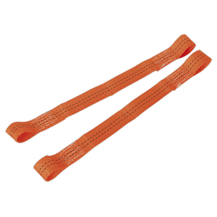 Sealey TDL01 Tie Down Securing Loop - Pair - TDL01 - Sealey Tools UK - Workshop Tool Storage