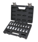 Betaworker 25-Piece Hexagon Socket Set In Plastic Case - BW 923E-FTX/C17