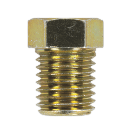 Sealey BN10125SM Brake Pipe Nut M10 x 1.25mm Short Male Pack of 25 - BN10125SM - Sealey Tools UK - Workshop Tool Storage