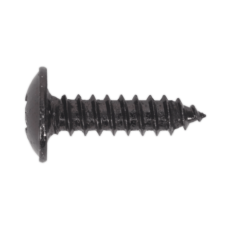 Sealey BST4216 Self Tapping Screw 4.2 x 16mm Flanged Head Black Pozi Pack of 100 - BST4216 - Sealey Tools UK - Workshop Tool Storage