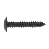 Sealey BST4225 Self Tapping Screw 4.2 x 25mm Flanged Head Black Pozi Pack of 100 - BST4225 - Sealey Tools UK - Workshop Tool Storage