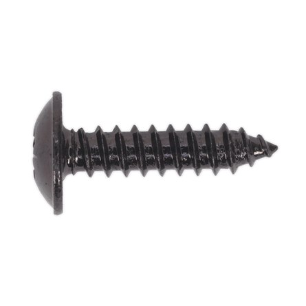 Sealey BST4819 Self Tapping Screw 4.8 x 19mm Flanged Head Black Pozi Pack of 100 - BST4819 - Sealey Tools UK - Workshop Tool Storage