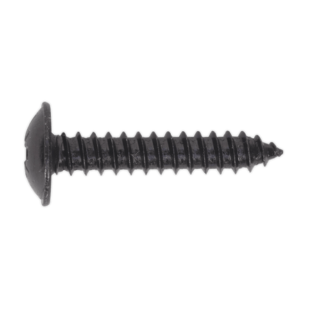 Sealey BST4825 Self Tapping Screw 4.8 x 25mm Flanged Head Black Pozi Pack of 100 - BST4825 - Sealey Tools UK - Workshop Tool Storage