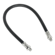 Sealey GGH450 Rubber Delivery Hose Flexible 450mm 1/8"BSP - GGH450 - Sealey Tools UK - Workshop Tool Storage
