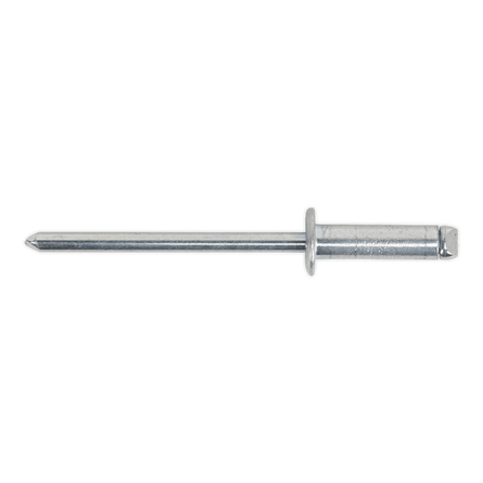 Sealey RS48615 Steel Rivet Standard Flange 4.8 x 16.5mm Pack of 200 - RS48615 - Sealey Tools UK - Workshop Tool Storage