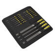 Sealey S05781 File Set 16pc Engineer's & Needle - S05781 - Sealey Tools UK - Workshop Tool Storage
