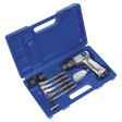 Sealey SA12/S Air Hammer Kit with Chisels Medium Stroke - SA12/S - Sealey Tools UK - Workshop Tool Storage