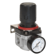 Sealey SA4001R Air Regulator - High Flow - SA4001R - Sealey Tools UK - Workshop Tool Storage
