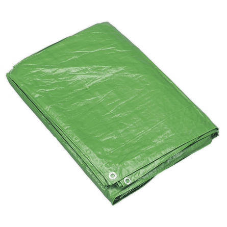 Sealey TARP810G Tarpaulin 2.44 x 3.05m Green - TARP810G - Sealey Tools UK - Workshop Tool Storage