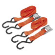 Sealey TD05025CS Cam Buckle Tie Down 25mm x 2.5m Polyester Webbing with S - Hooks 500kg Breaking Strength - TD05025CS - Sealey Tools UK - Workshop Tool Storage