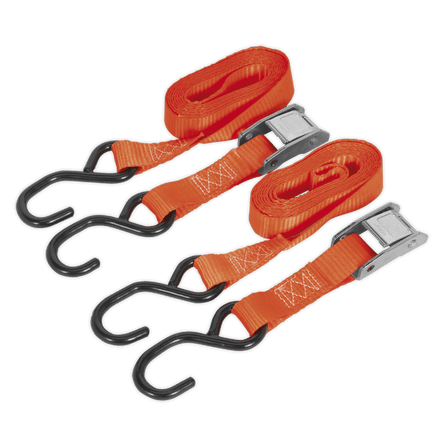 Sealey TD05025CS Cam Buckle Tie Down 25mm x 2.5m Polyester Webbing with S - Hooks 500kg Breaking Strength - TD05025CS - Sealey Tools UK - Workshop Tool Storage