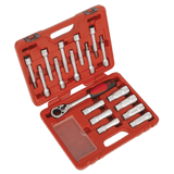 Sealey VS0331 Shock Absorber Strut Nut Kit 18pc - VS0331 - Sealey Tools UK - Workshop Tool Storage